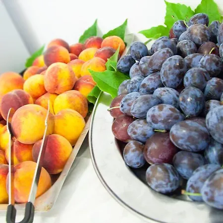 Laura 3* Чезенатико